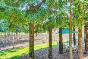 Luxe Vineyard Villa w/ Views & Fire Pit in Loomis! - Interiør