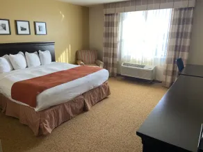 Country Inn & Suites by Radisson, Dundee, MI - Chambre