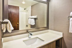 DoubleTree by Hilton Rapid City Downtown Convention Center - Salle de bain
