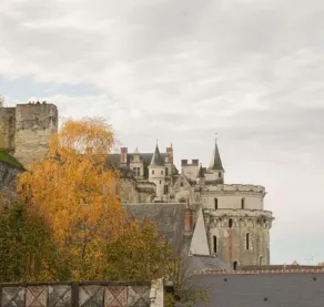 Relais d'Amboise - The Leading Hotels of the World - Udsigt fra værelset