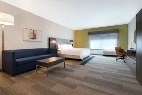 Holiday Inn Express & Suites - Glendale Downtown - Rum