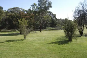 Bellbrae Harvest - View from room