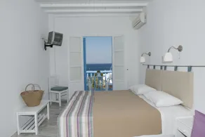 Asimina - Quarto