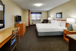 Stoney Creek Hotel Quad Cities - Moline - Chambre