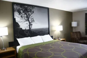 Super 8 by Wyndham Jamestown - Chambre