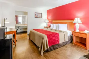 Econo Lodge Martinsville - Rom