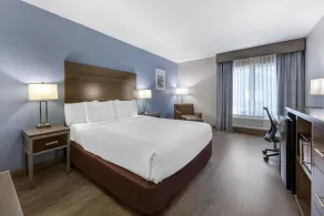 Best Western Fort Lauderdale Airport Cruise Port - Chambre