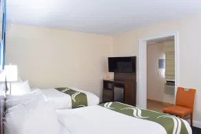 Quality Inn & Suites Middletown - Newport - Chambre
