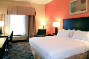 Holiday Inn Express Hotel & Suites Grand Island By IHG - Chambre