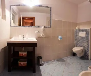 Leśna Oaza - Badezimmer