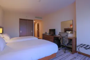 Hilton Garden Inn Eskisehir - Room