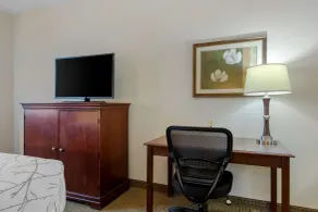 Best Western Plus Sweetwater Inn & Suites - Værelse