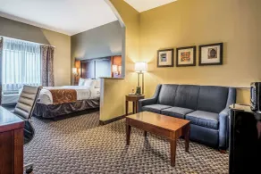 Comfort Suites Near Texas State University - Chambre