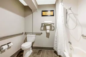 Comfort Inn Memphis Airport West - Salle de bain