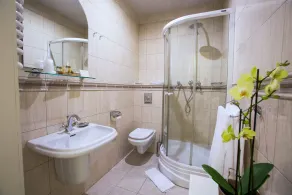 Hotel Dębowy Biowellness & SPA Góry Sowie - Bathroom