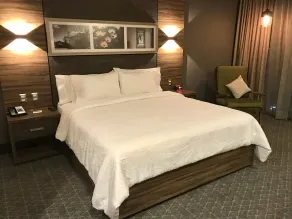 Hilton Garden Inn Aguascalientes - Room