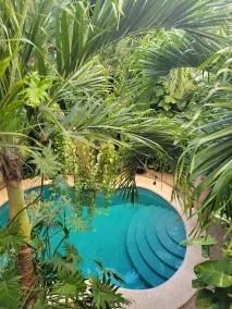 The Secret Garden Tulum - Pool