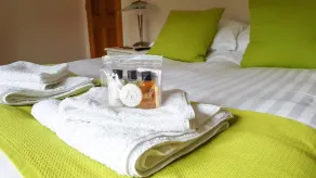 Mill Lodge-Brecon Beacons - Zimmer