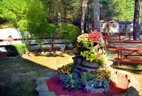 Sturbridge RV Resort - Campground - Have