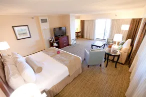 Crowne Plaza Hotel St. Louis Airport by IHG - Chambre