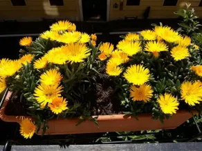 B&B Rome Charming House - Utsikt fra rommet