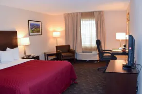 Quality Inn Saint Louis Airport - Chambre