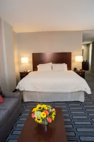 Hampton Inn & Suites Providence Downtown - Chambre