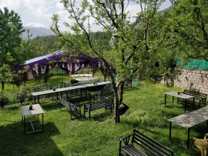 Madpackers Manali - Restaurant
