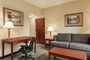 Hampton Inn & Suites Williamsburg Historic District - Room