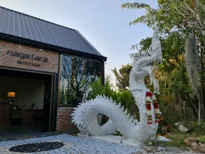 Naga Tara Boutique Resort - Réception