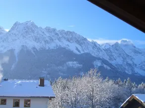 das Alpen Natur Idyll - View from room