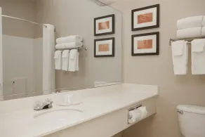 Comfort Suites Keeneland - Salle de bain
