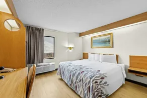 Red Roof Inn Branson - Room