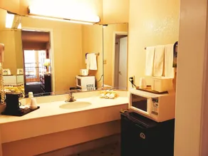 Econo Lodge Richmond-North Chesterfield - Salle de bain