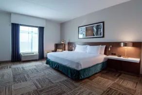 Hilton Garden Inn Spartanburg - Værelse