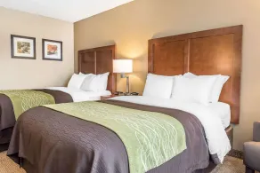 Comfort Inn & Suites Piqua-Near Troy-I75 - Habitación