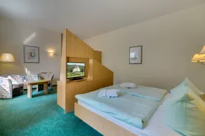 Kurhotel Bad Schlema - Room