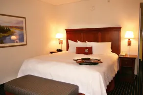 Hampton Inn Farmville, VA - Chambre