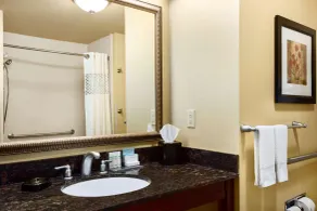 Hampton Inn & Suites Mission - Salle de bain