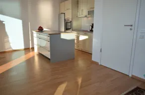 Villa Dobre Vode - Cuisine privée