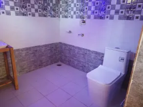 The Isisinga - Banheiro