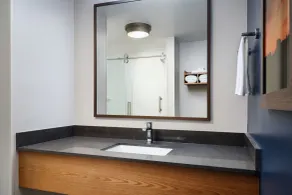 Fairfield Inn & Suites Auburn Opelika - Salle de bain