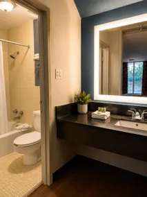 Heritage Inn Cartersville - Badezimmer