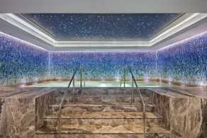 DoubleTree by Hilton Skopje - Piscina