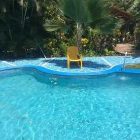 Hotel Ometepetl - Pool