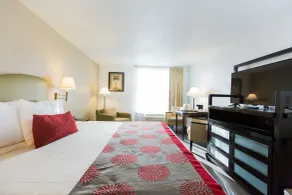 Plaza Hotel Fort Lauderdale - Chambre