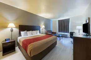 Econo Lodge Inn & Suites Bridgeport - Chambre