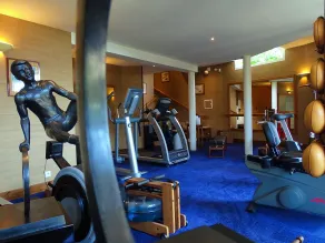 TI AL LANNEC Hotel - Restaurant & Spa - Academia