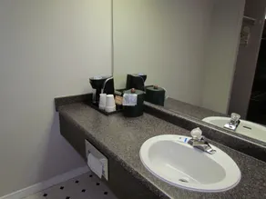 Rodeway Inn King William - Chambre
