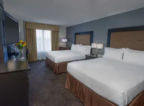Holiday Inn Express & Suites Buffalo Airport by IHG - Chambre